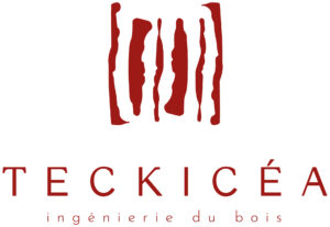 Teckicea_slogan-V-rouge